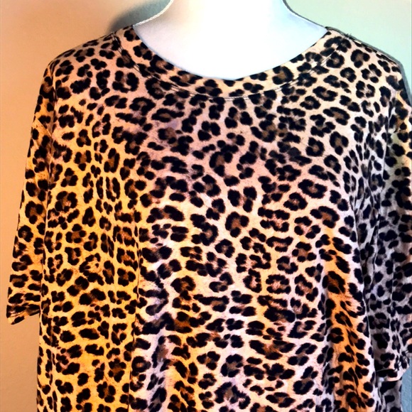 Leopard Print (Animal Print) T-Shirt, 4X - Picture 1 of 7